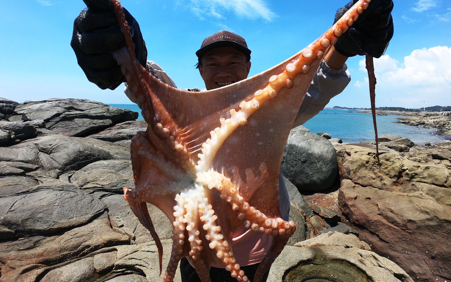 章鱼下入聚宝坑中,多种嘴尖尖的贪吃鱼涌出,旁边小哥都吓到了_哔哩