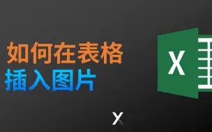 Download Video: 怎么把图片插入到 Excel 中且自动适应表格大小变化 ，筛选图片