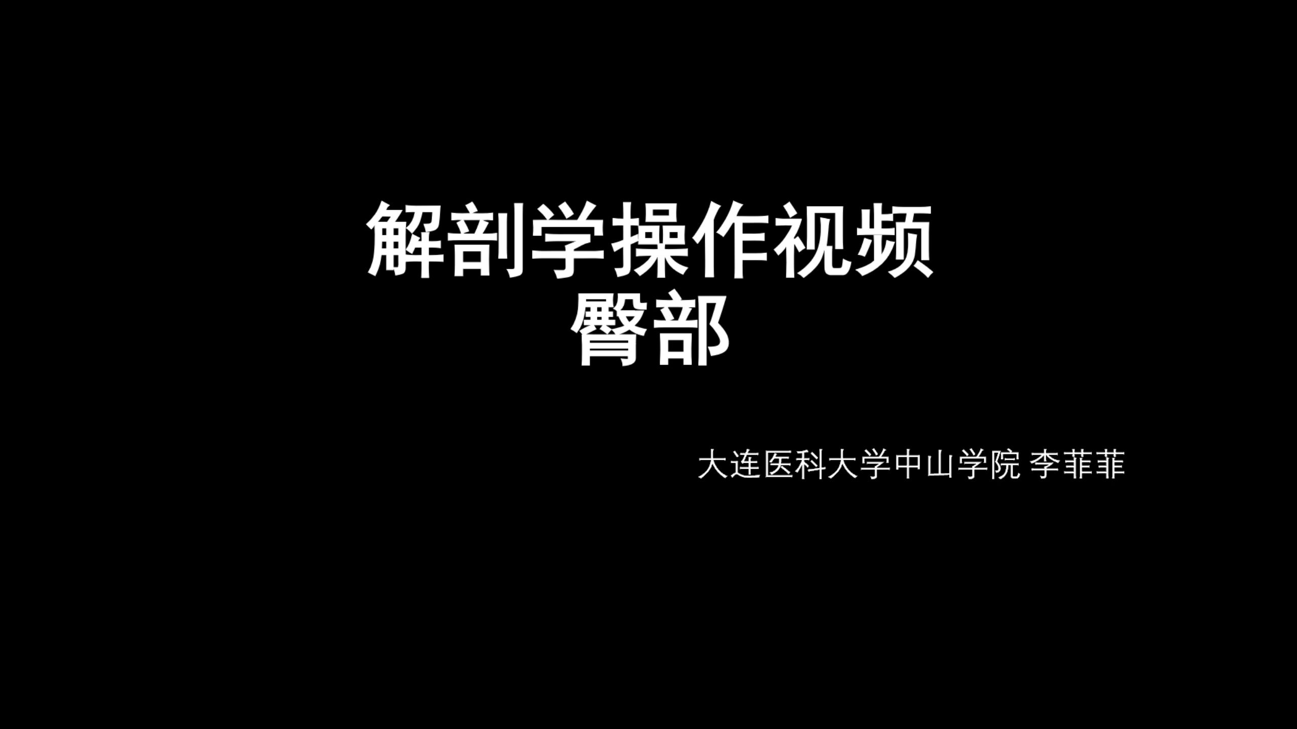 解剖学操作视频 臀部(一)哔哩哔哩bilibili