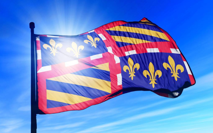 勃艮第王国国旗图片
