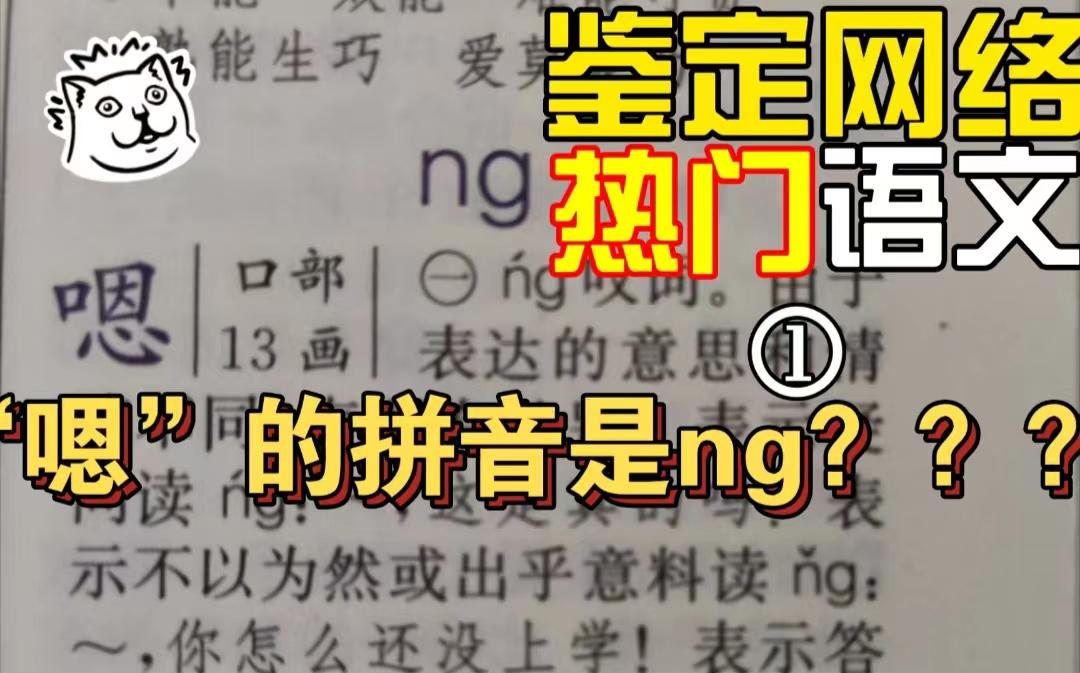 嗯的拼音是ng还是en?是西方文化入侵还是曼德拉效应再现?【鉴定网络语文视频01】哔哩哔哩bilibili