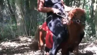 性感肥婆树林驯骑小马