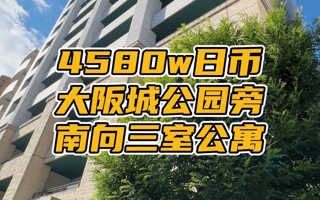 窗外就是大阪城公园,住在这里可以每天去大阪城公园遛弯~哔哩哔哩bilibili