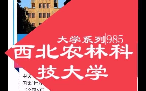 西北农林科技大学哔哩哔哩bilibili