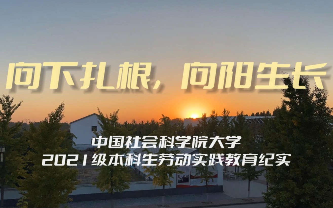 向下扎根,向阳生长——中国社会科学院大学2021级本科生劳动实践教育纪实哔哩哔哩bilibili