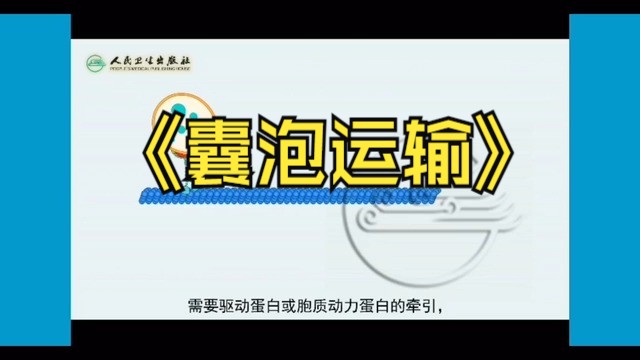 囊泡运输与细胞骨架哔哩哔哩bilibili