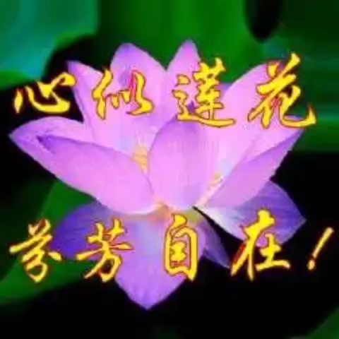 莲花头像带字图片