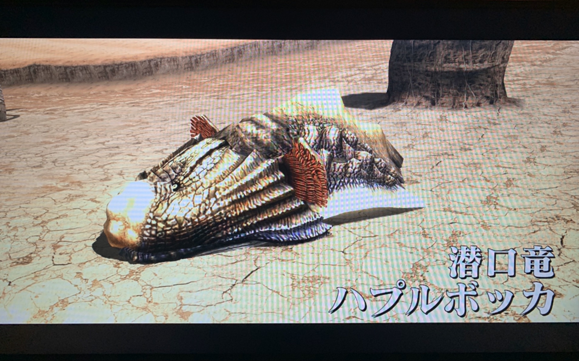 怪物猎人xx/gu 丢人开荒系列 村3星:潜口龙 5分52秒(捕获) 大剑