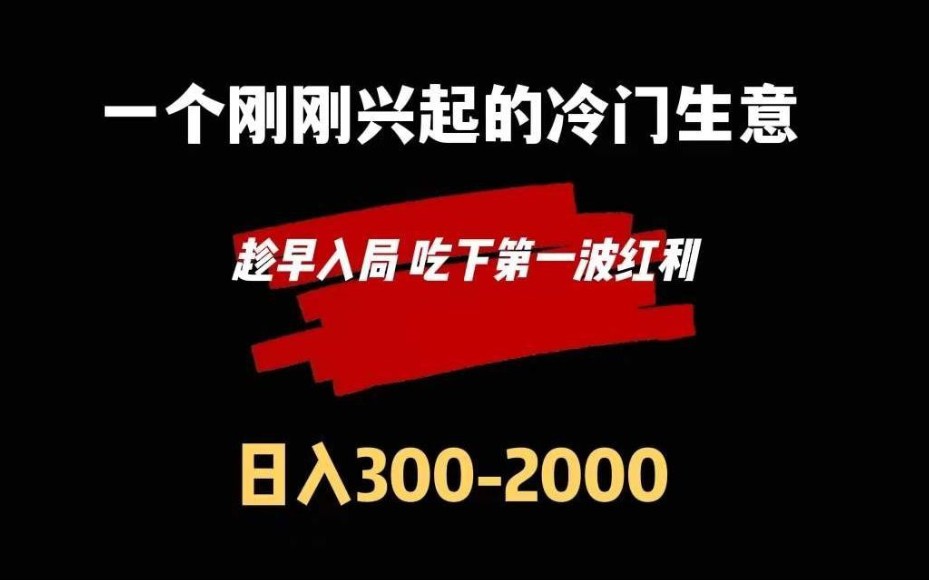 一个新兴起的冷门生意,日入300+,内附渠道,新手小白可直接做!哔哩哔哩bilibili