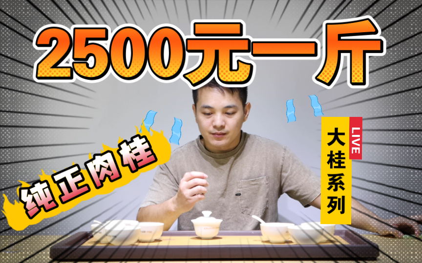 评测2500一斤正岩肉桂大桂系列武夷山大红袍茶叶武夷岩茶花果香抽三位幸运粉丝送茶样哔哩哔哩bilibili