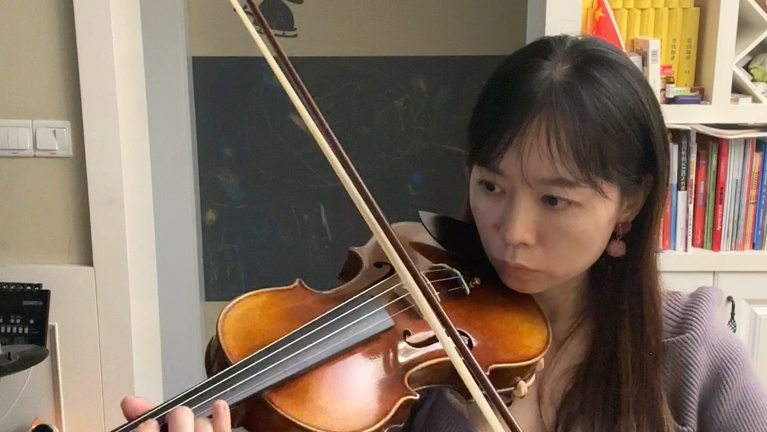 普通人学小提琴一年五月:《塞茨第五协奏曲第一乐章》每天清晨15