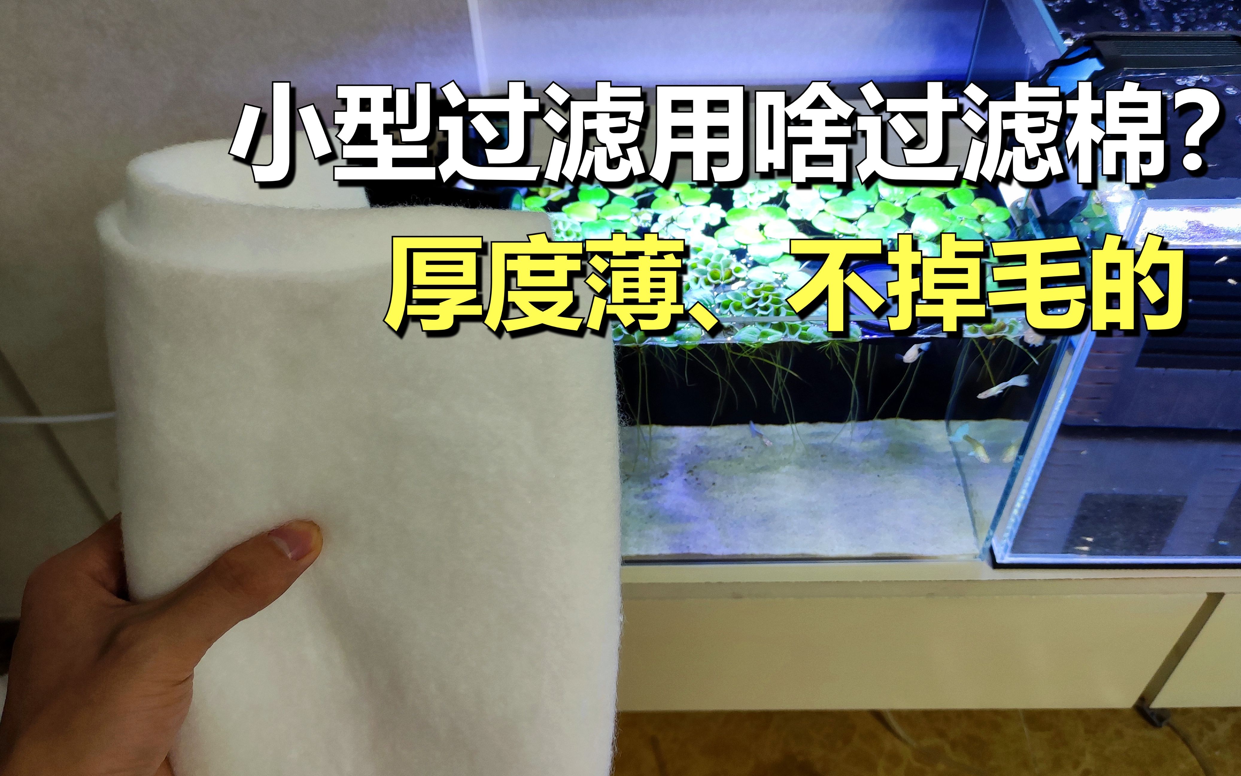 适合小缸过滤用的过滤棉,又薄、又不掉毛,过滤效果还好哔哩哔哩bilibili