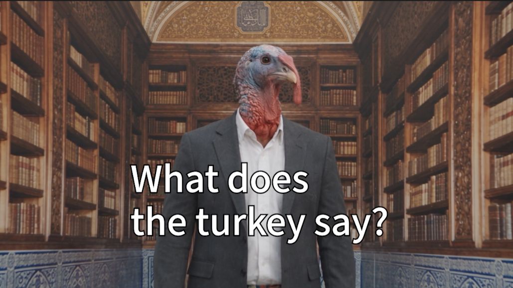 土耳鸡怎么叫？ | What does the turkey say? 【AI MV大赛】
