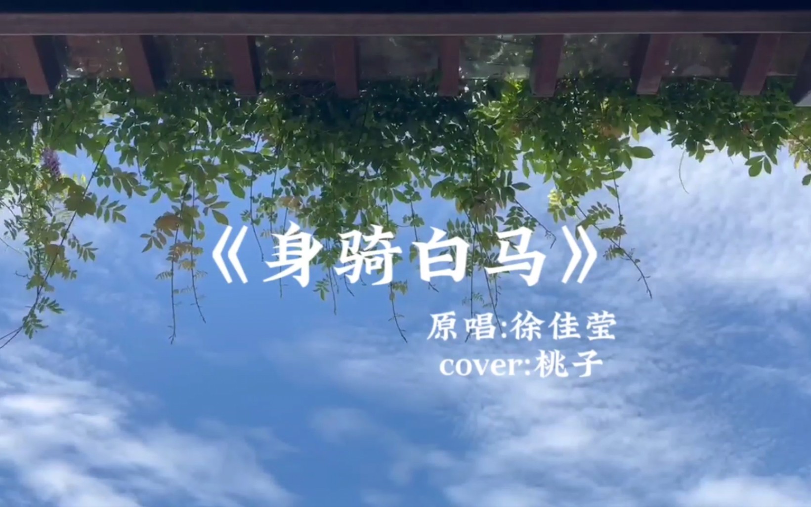翻唱《身骑白马》