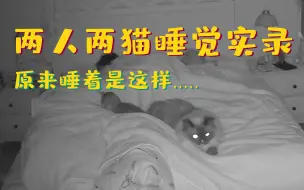 Скачать видео: 【监控系列】谁说猫子都是夜行性动物的？带猫一起睡觉是这样的！