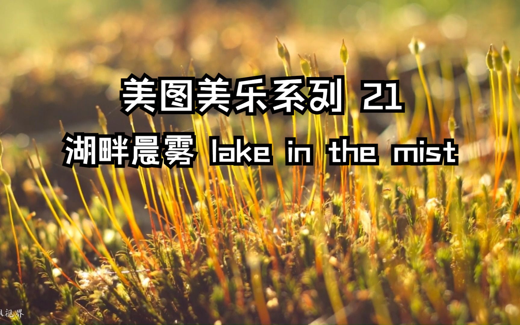 美图美乐系列 21 :壁纸般的绝美景色  湖畔晨雾 lake in the mist哔哩哔哩bilibili