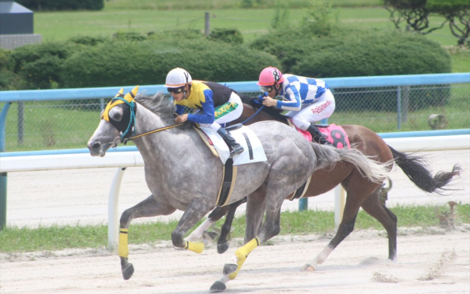 7.3‖金沢 2r‖黄金船产驹‖地方赛马‖1着