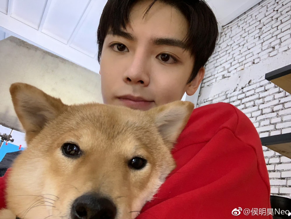 演员侯明昊其实出道很早,他在还不到20岁的时候就进入娱乐圈发展了,刚