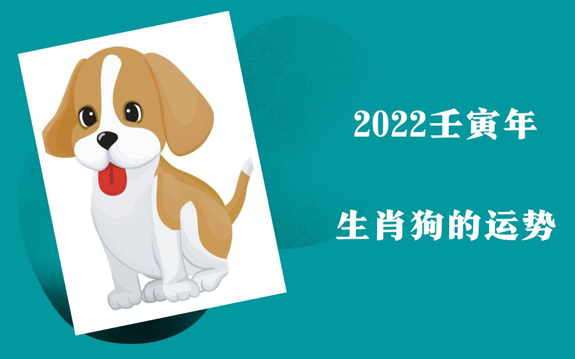 2022壬寅年 生肖狗的運勢_嗶哩嗶哩_bilibili