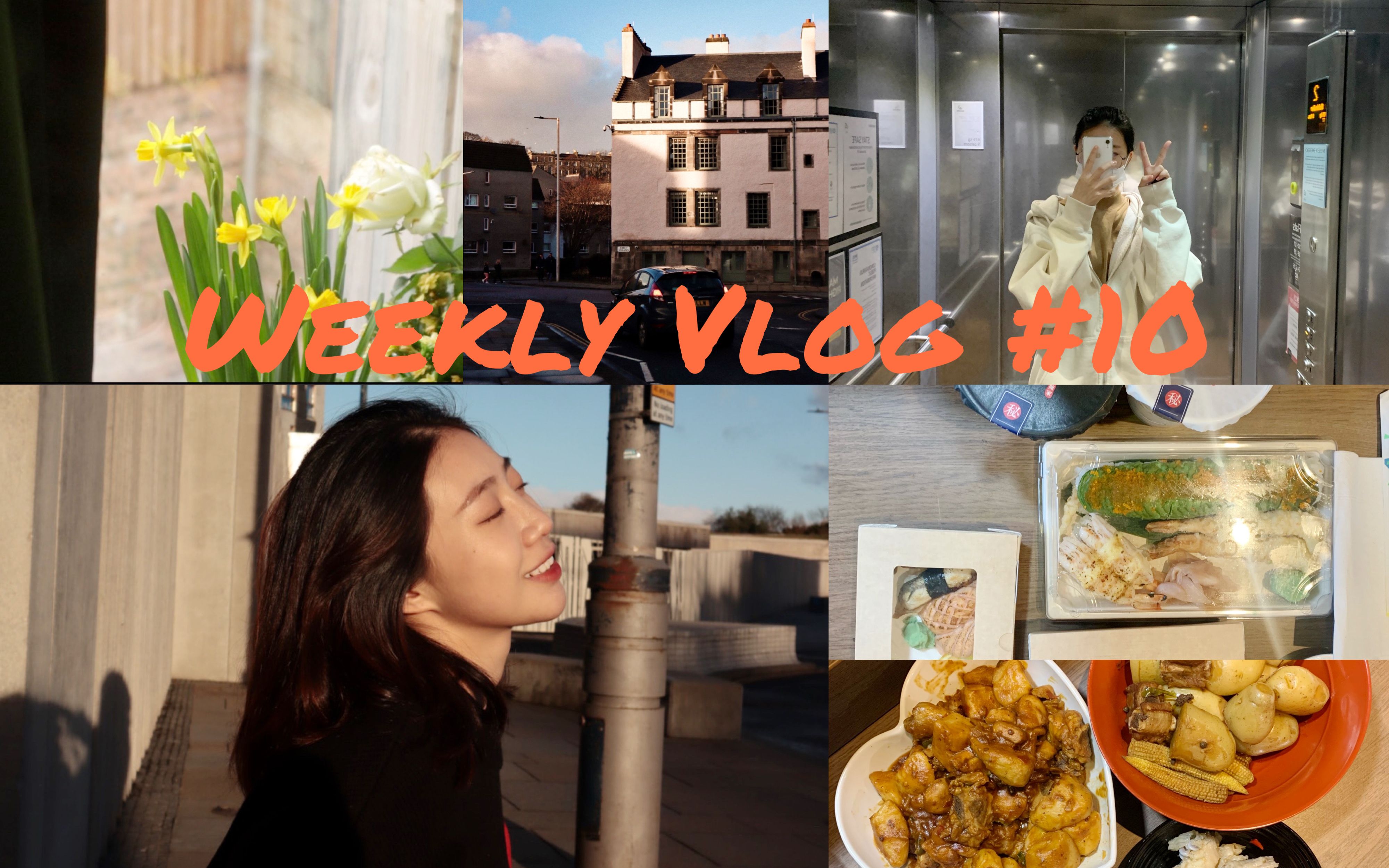 爱丁堡留学Weekly Vlog #10 / 线上网课/ 水仙花开了/ ＂干饭人＂(泡菜锅 红烧牛肉 番茄牛腩 寿司)/'奇葩说'模拟辩论/ 帕梅拉美丽芭蕾运动哔哩哔哩...