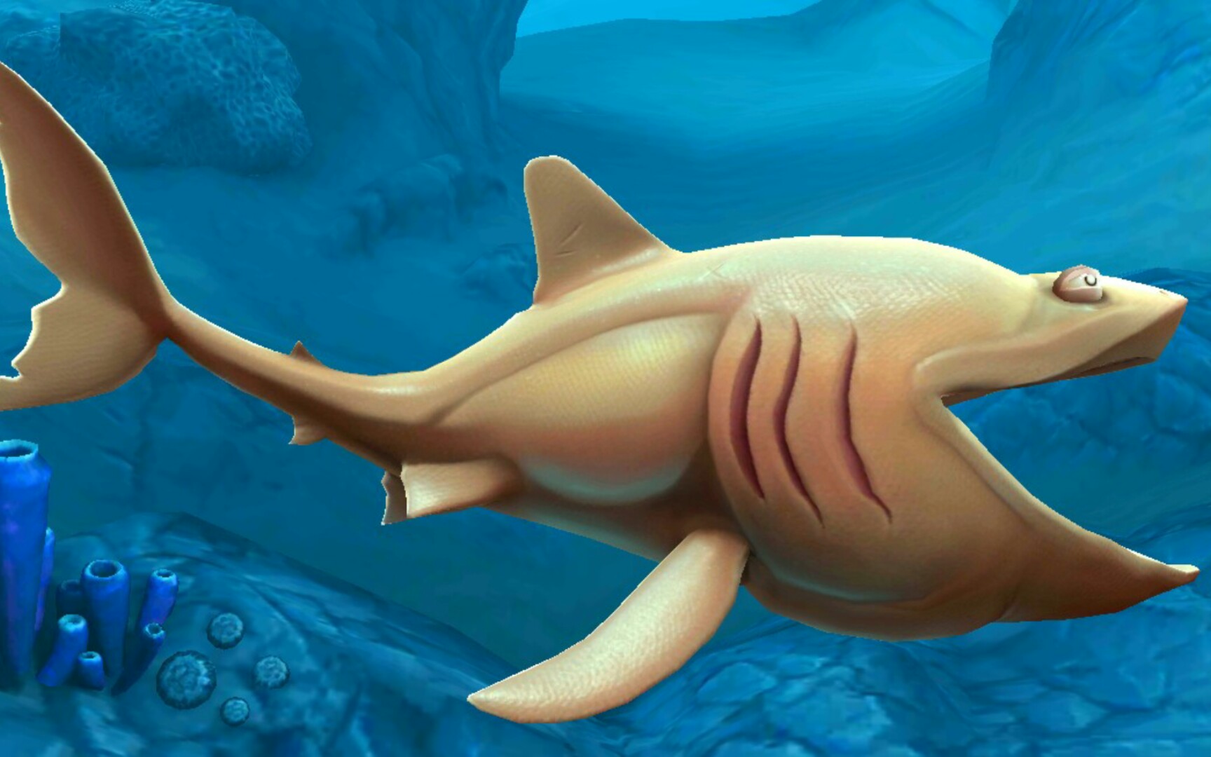饥饿鲨世界鲨鱼介绍(19)姥鲨