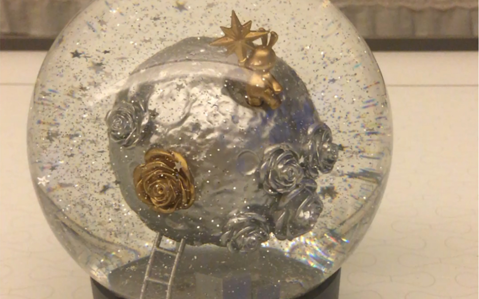 8.17买的roseonly的水晶球到手_哔哩哔哩_bilibili