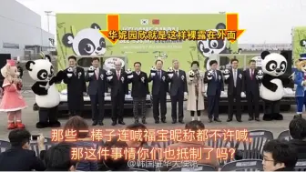 Tải video: 棒子国是从头烂到尾、从上烂到下、从左烂到右！