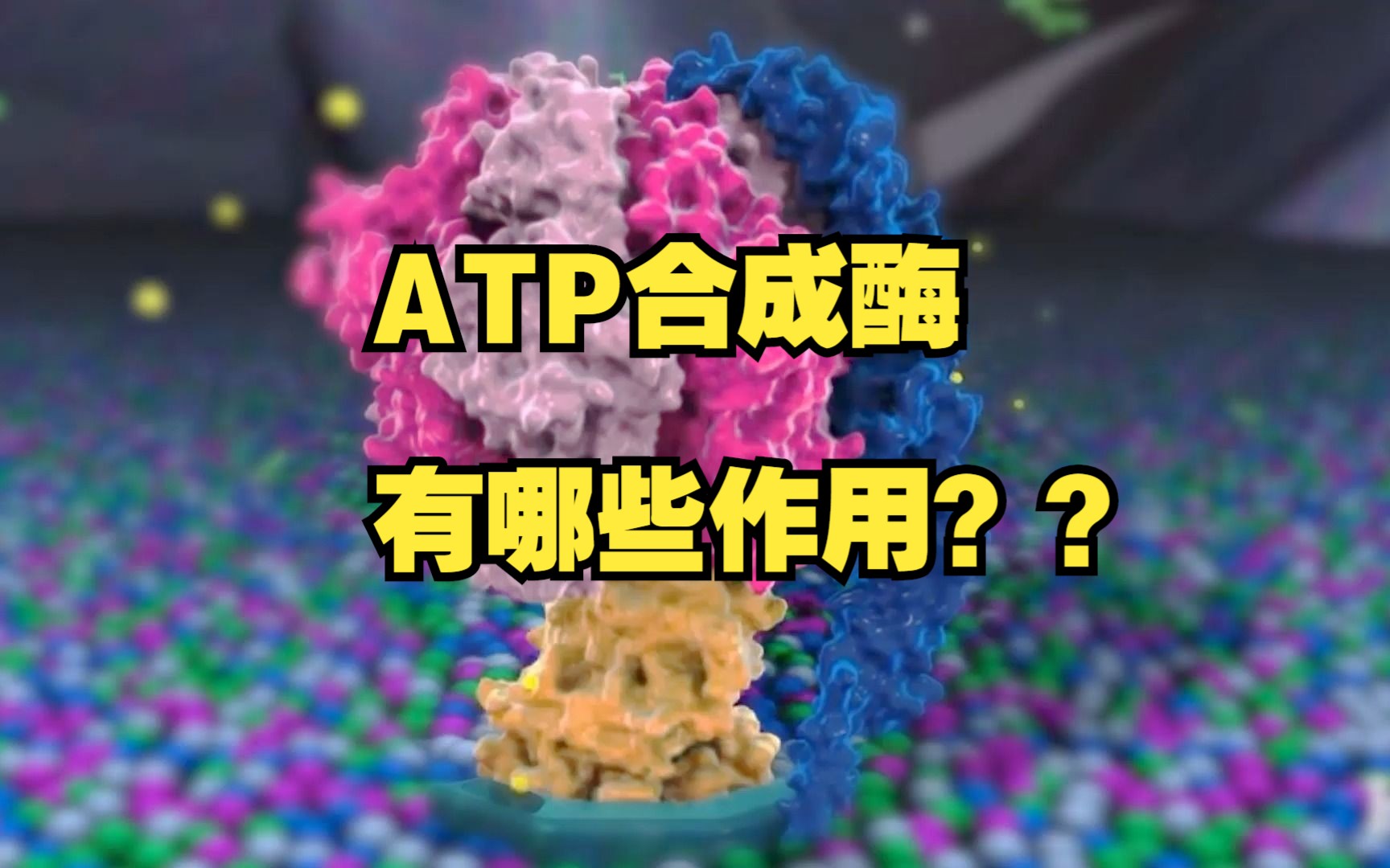 ATP合成酶有哪些作用?让我们一探究竟吧!哔哩哔哩bilibili