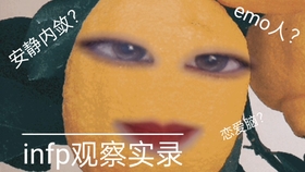 内心开出温柔的花朵 Infp识别 相处 Mbti专业解读 哔哩哔哩 つロ干杯 Bilibili