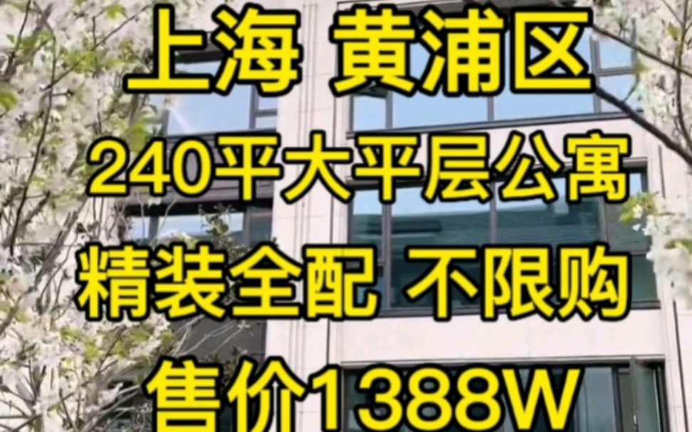 上海黄浦240平精装大平层公寓‖不限购 无需社保‖售价1388W哔哩哔哩bilibili