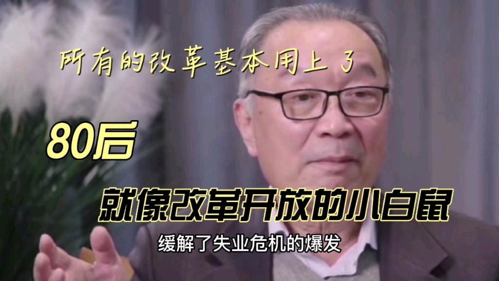 [图]听了温铁军这段话才知道，80后今天没混好源自于20多年前的经融危机