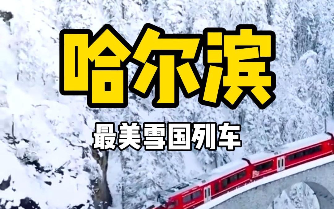 雪国列车2哔哩哔哩bilibili