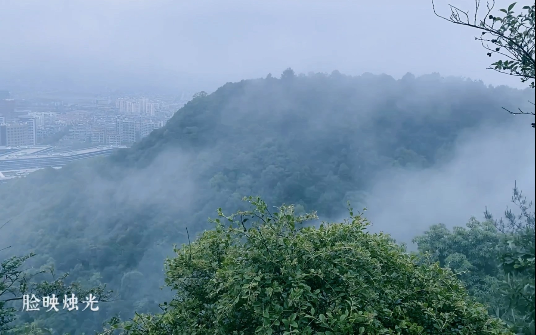 【雨巷崔开潮】雨落江南,温柔缱绻(杭州梅雨)哔哩哔哩bilibili