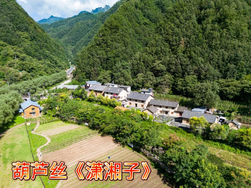 葫芦丝演奏《潇湘子》
