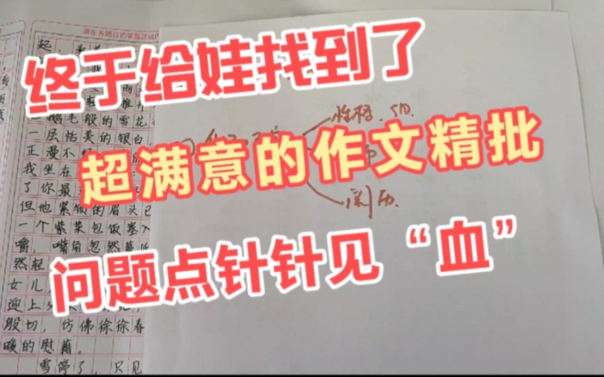 满意的作文精批,针针见血,发现了娃的问题,对症下药哔哩哔哩bilibili