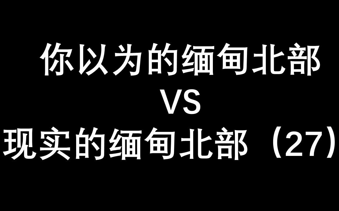 这里是缅甸北部(27)奥特曼都不敢去你敢去?哔哩哔哩bilibili