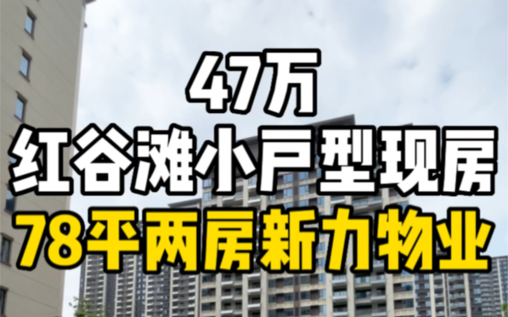 总价47万南昌红谷滩小户型现房,78平两房新力物业!哔哩哔哩bilibili