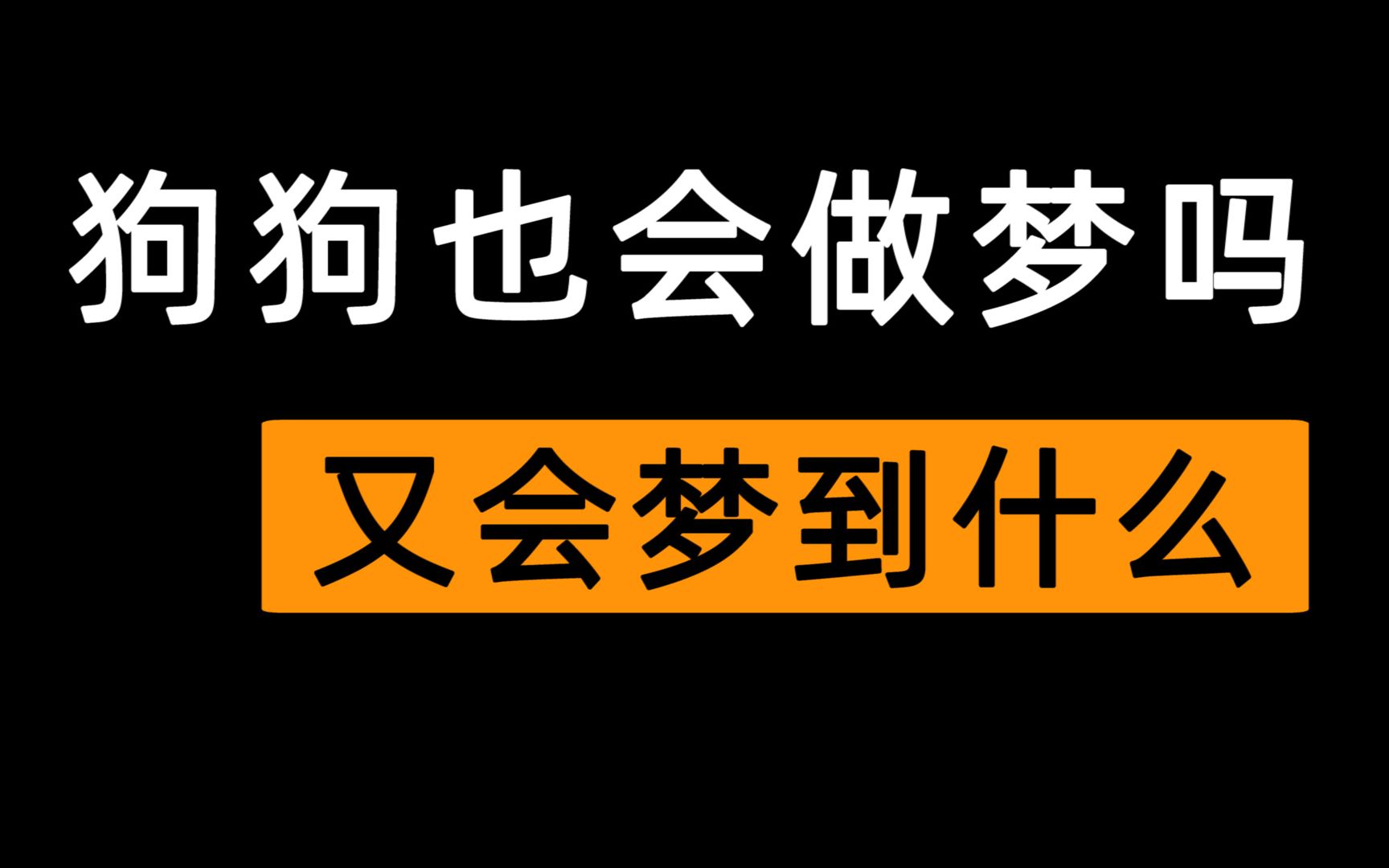 狗狗会做梦吗?狗狗的梦里又是什么样子的哔哩哔哩bilibili