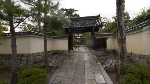 超清日本 在神奈川东高根森林公园散步一个小时 5 哔哩哔哩 Bilibili