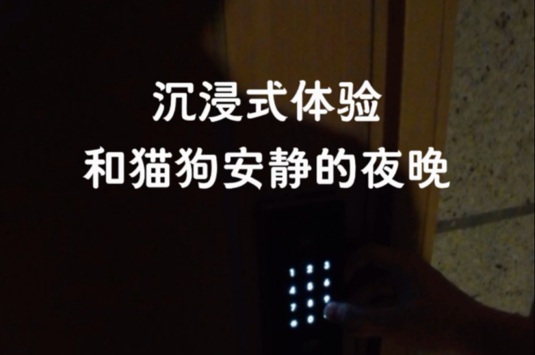 幸福有时不说话