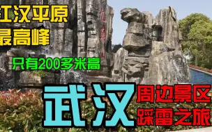 Download Video: 今天去看江漢平原第一高峰,九真山景区,我不會說我是買了旅遊年卡才來的