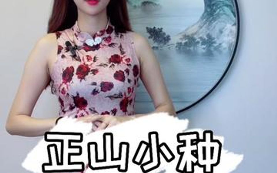 传统工艺的正山小种你了解多少?哔哩哔哩bilibili