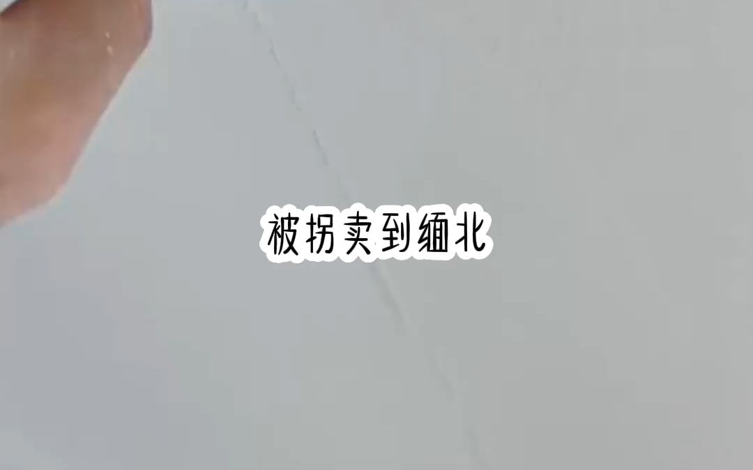 《绝命网黑》有关缅甸北部的小说推荐,男频小说,喜欢的关注一下.全文在知~呼哔哩哔哩bilibili