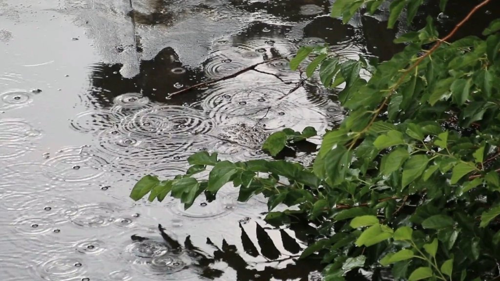 [图]雨景特辑-聆听雨声