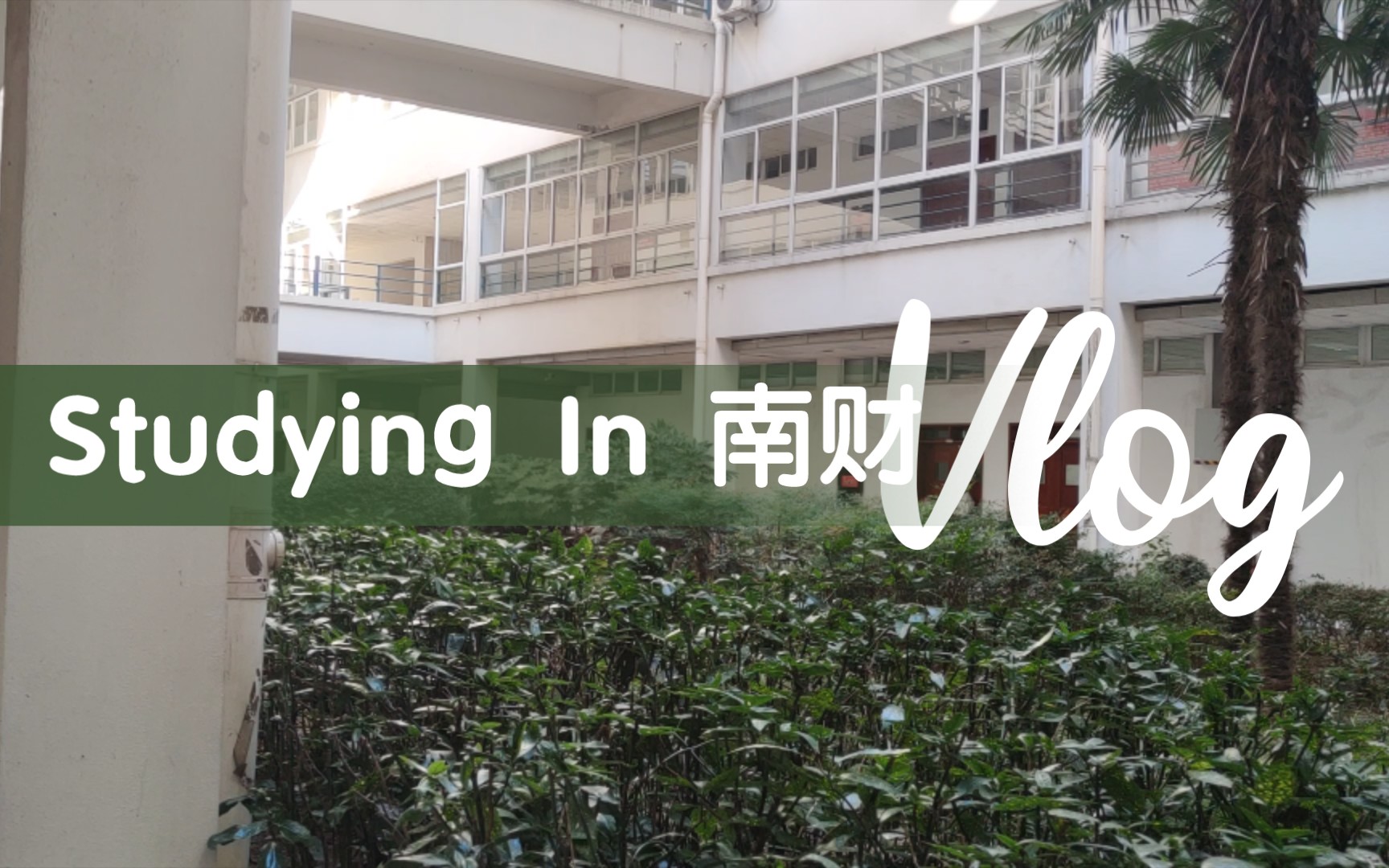 [图]My Vlog 11.9 | Studying In 南财 What a busy day！