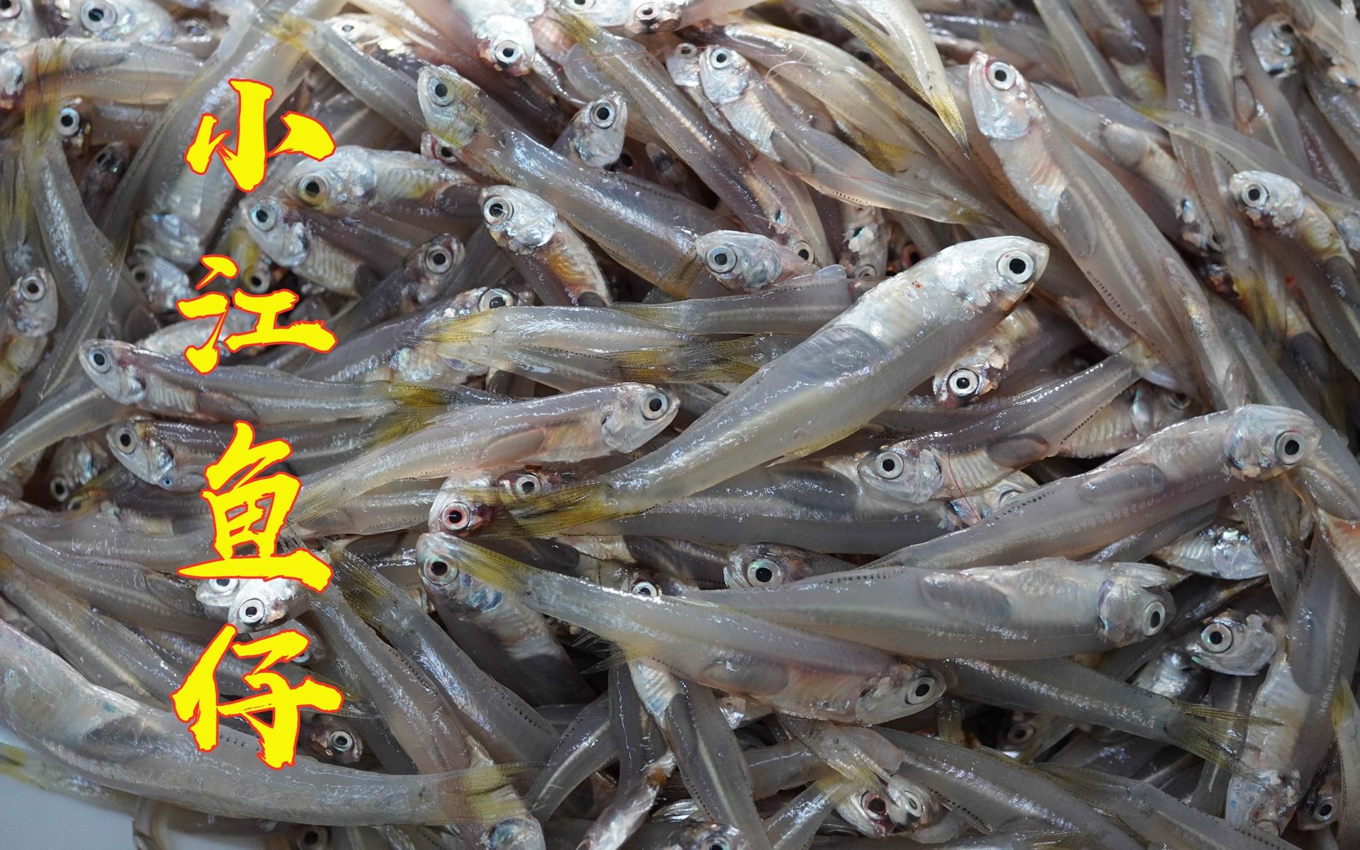 活动  早市买的江鱼仔,做一道地道的干煎小鱼仔,居然被吐槽难以下咽