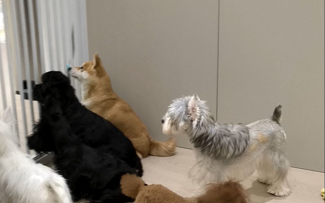 等待下班,望眼欲穿