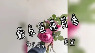 Download Video: 想买香味出众的月季?来看看戴尔巴德吧