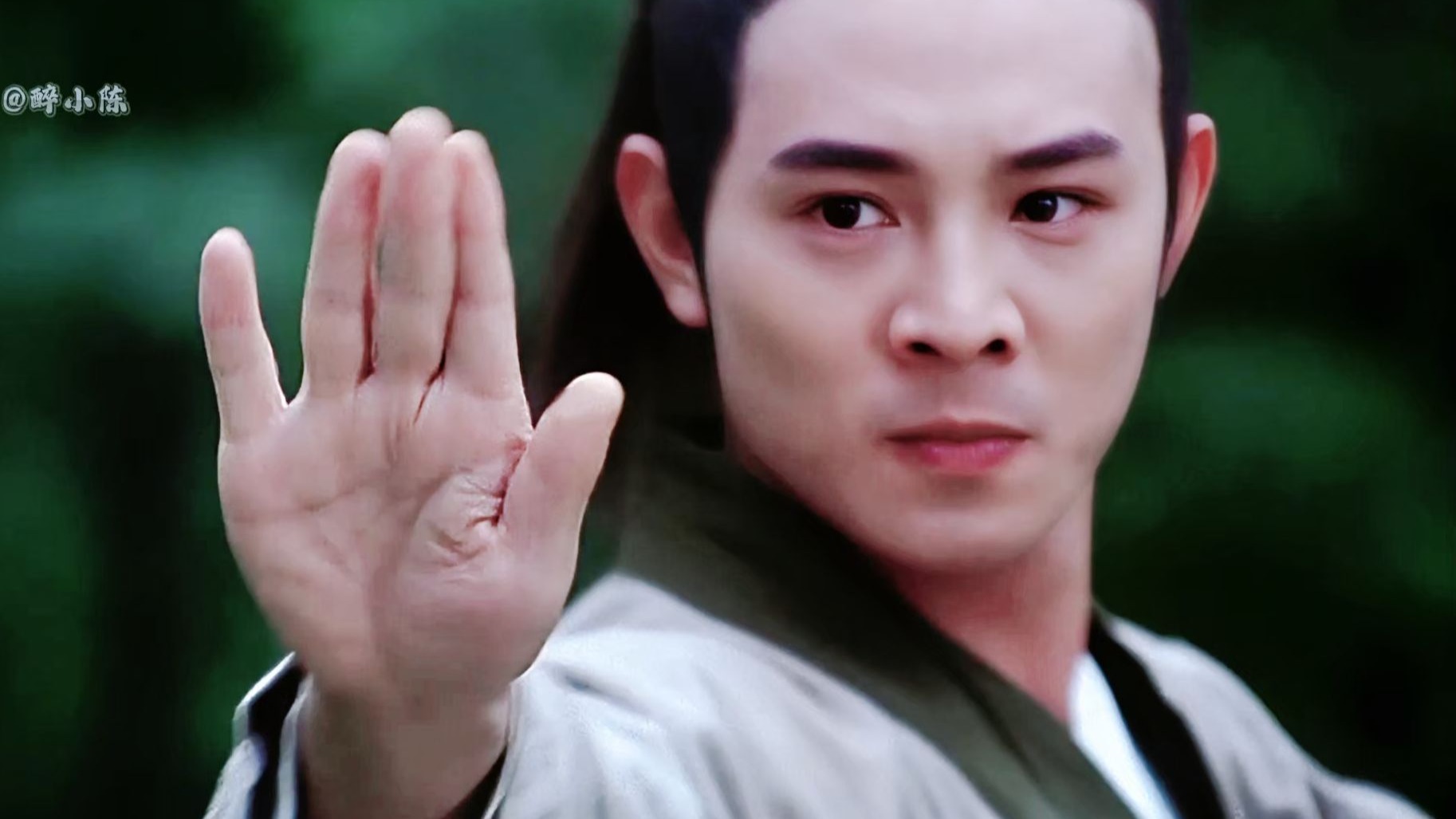 李连杰的太极之美,刚柔并济的完美诠释