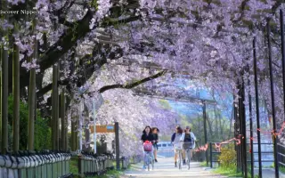 民の見る風景 搜索结果 哔哩哔哩 Bilibili